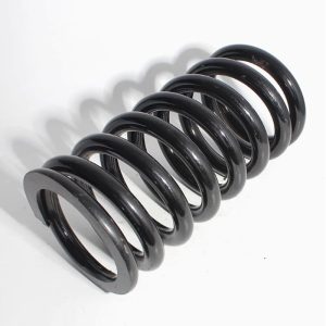 Spring with elasticity