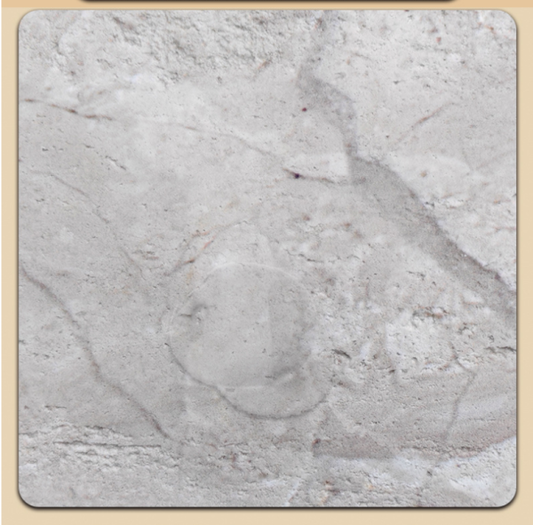 Table surface - Image 2