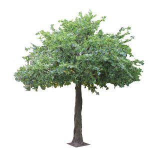 Artificial synthetic plants