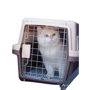 pet carrier