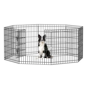 dog crate
