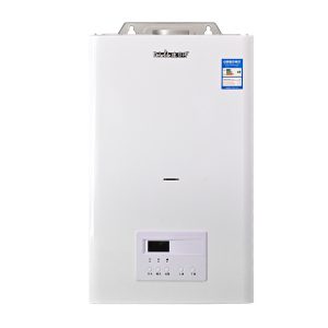 Gas heater
