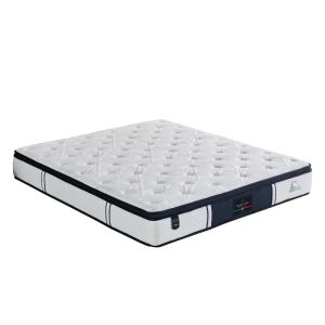 Cushion mattress