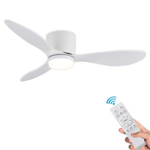 fan lamp