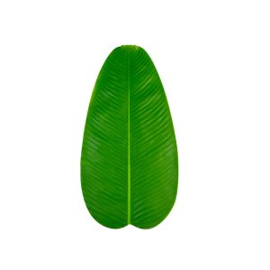 PE leaves