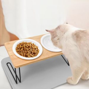 pet feeder