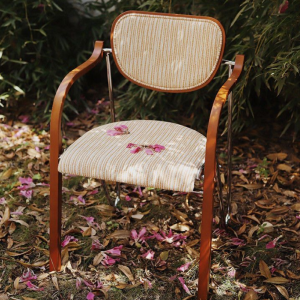 dining chair