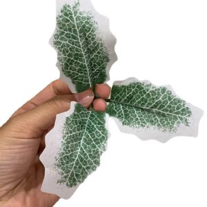 Christmas tree leaves