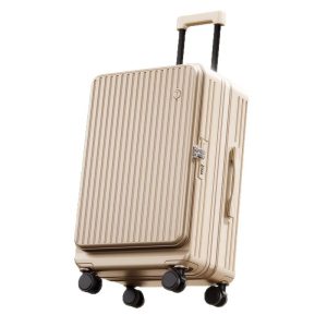 2-in-1 luggage