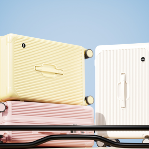 Trolley Case