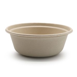 paper bowl