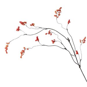 Decorated red fruit string