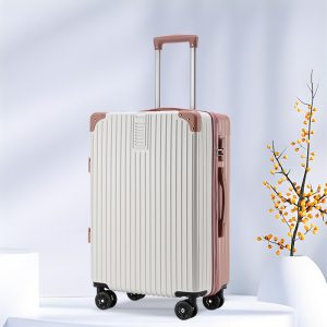 5-in-1 luggage