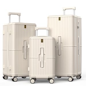 2-in-1 luggage