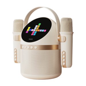 Audio equipment