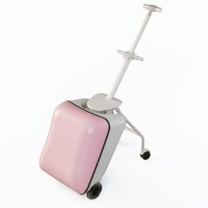 2 in 1 Luggage