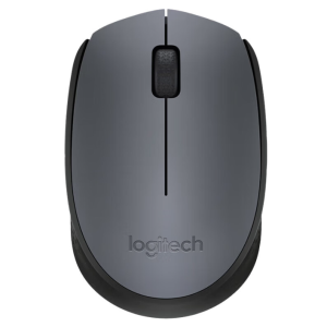 mouse