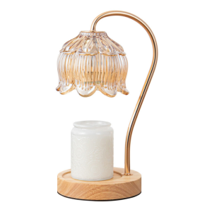 Melted Wax Lamp