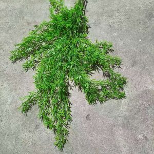 Christmas tree leaves