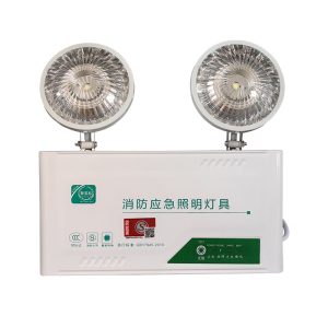Emergency light