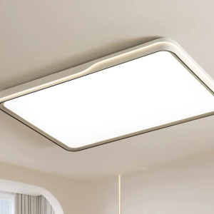 Ceiling lamp