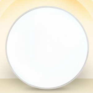 Ceiling light