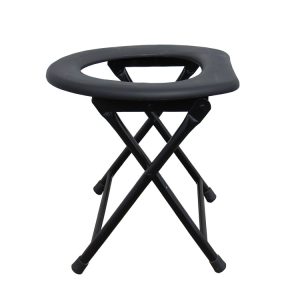 Folding chair with toilet
