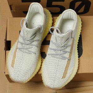 shoe