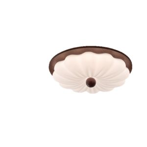ceiling light