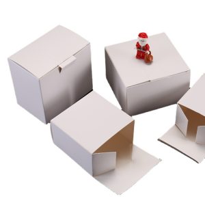 carton