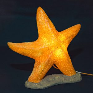 modelling light