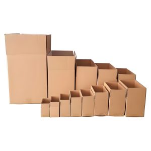 Carton