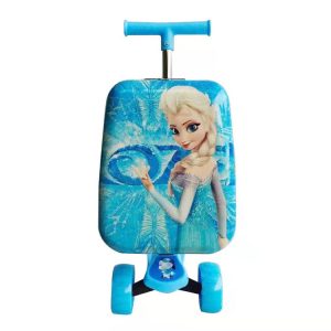 2‑in‑1 luggage