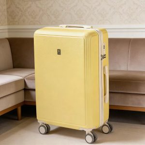 Trolley suitcase