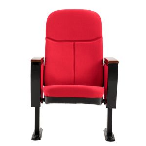 Auditorium chairs