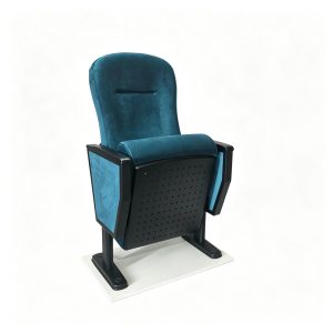 Auditorium chairs
