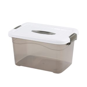 Plastic box