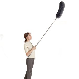 Dust removal rod