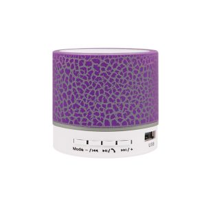 loudspeaker box