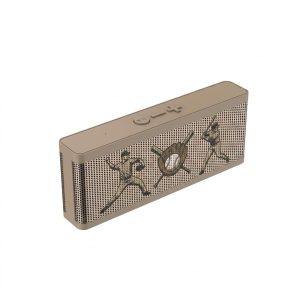Speaker